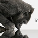 Corning_GorillaGlass Corning_GorillaGlass