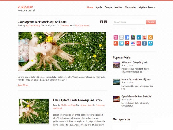 WordPress-Premium-Theme