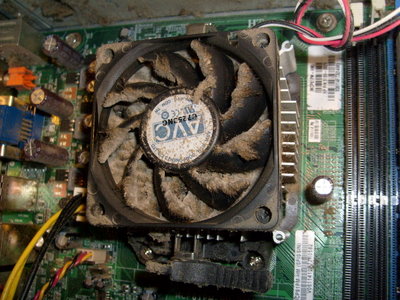 dust-in-cpu-fan-and-heatsink