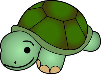 turtle