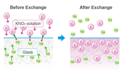 dinorex-ion-exchange-mechanism
